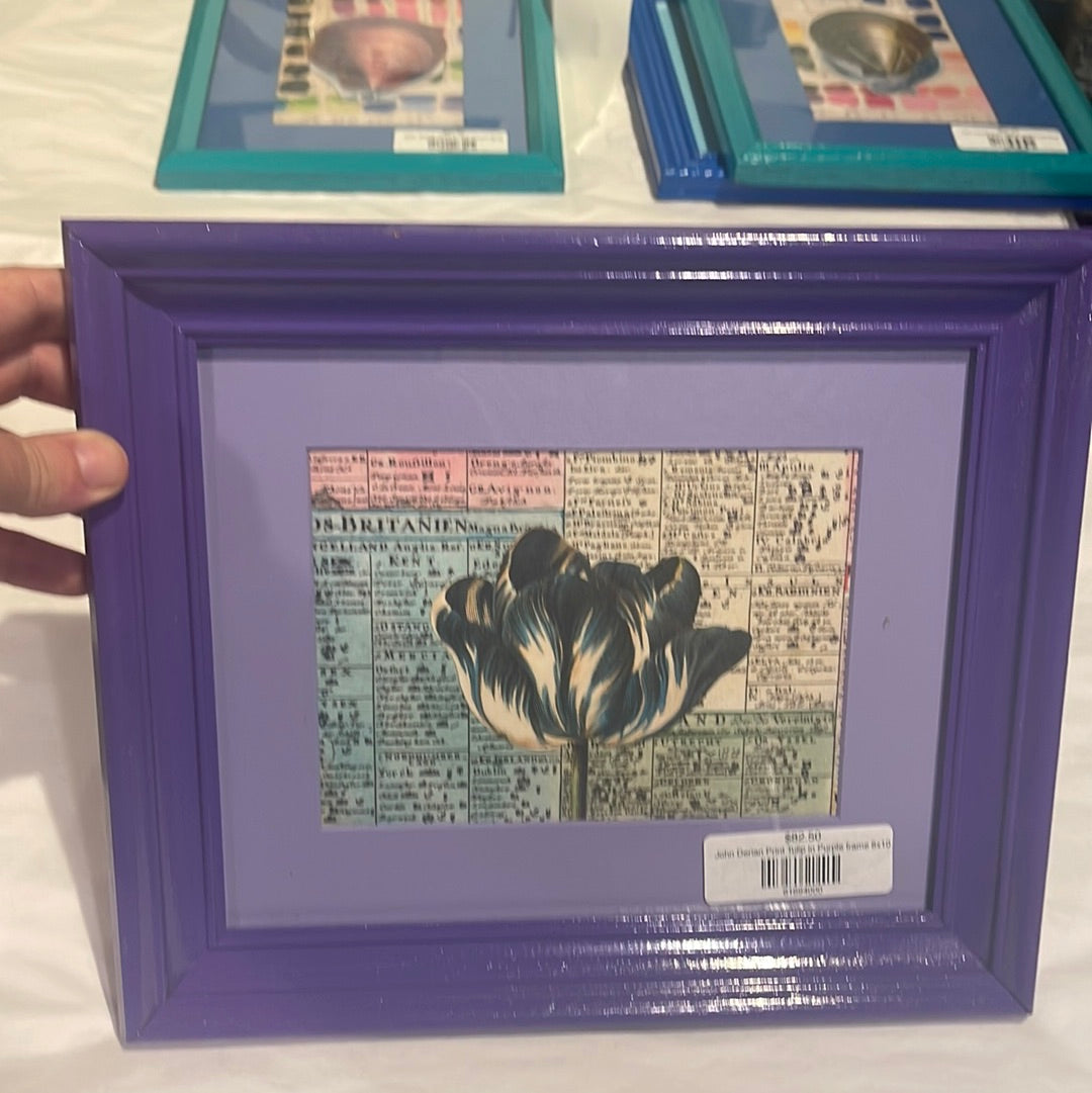 John Derian Print Tulip in Purple Frame frame 8x10