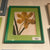 John Derian Print Mustard Flower 11x14