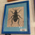John Derian Print Beetle in Blue frame 11x14