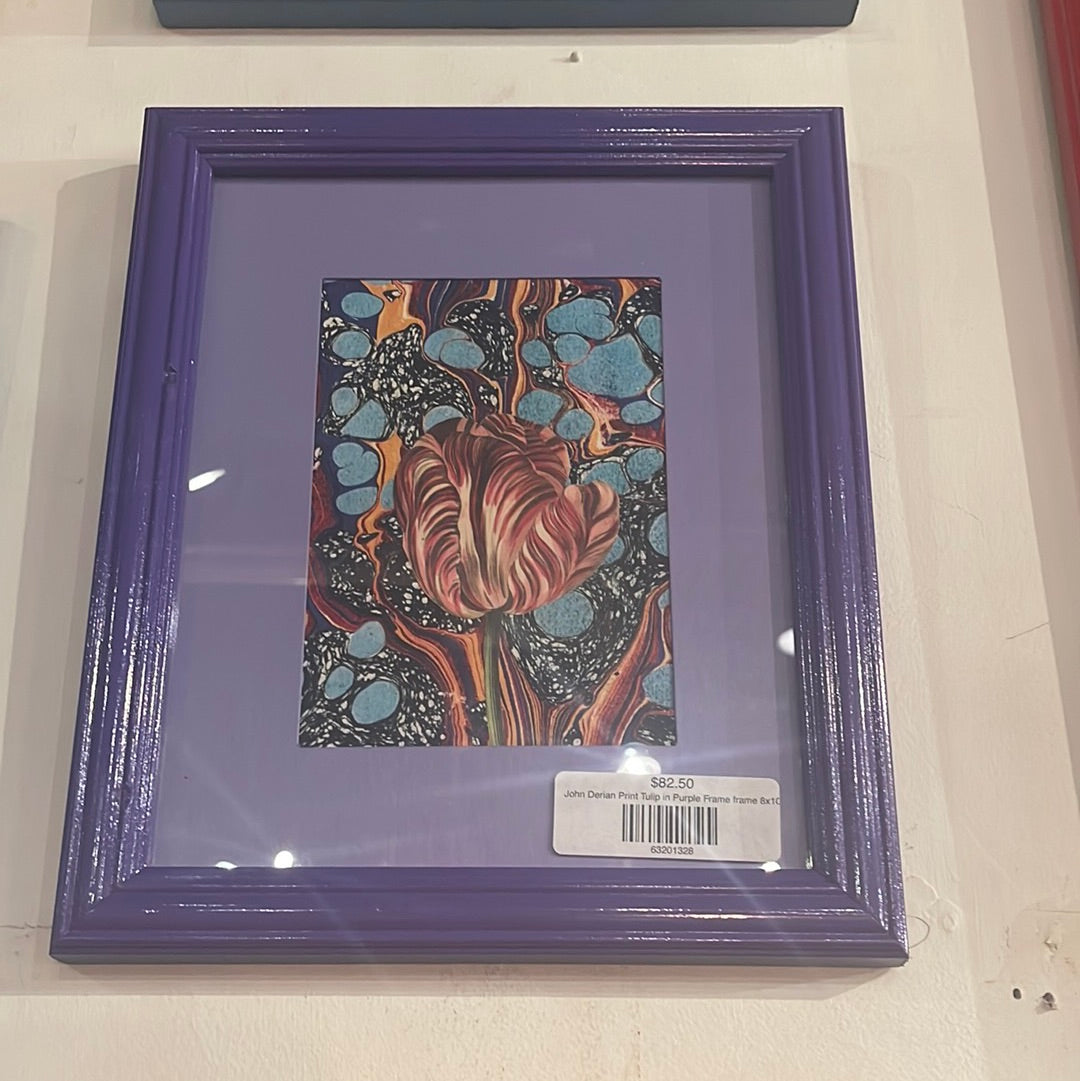 John Derian Print Tulip in Purple frame 8x10