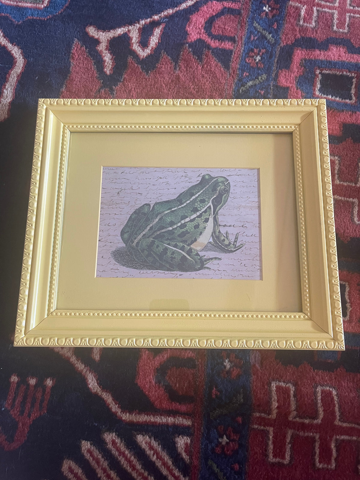 John Derian Toad Print in Yellow Frame 8x10