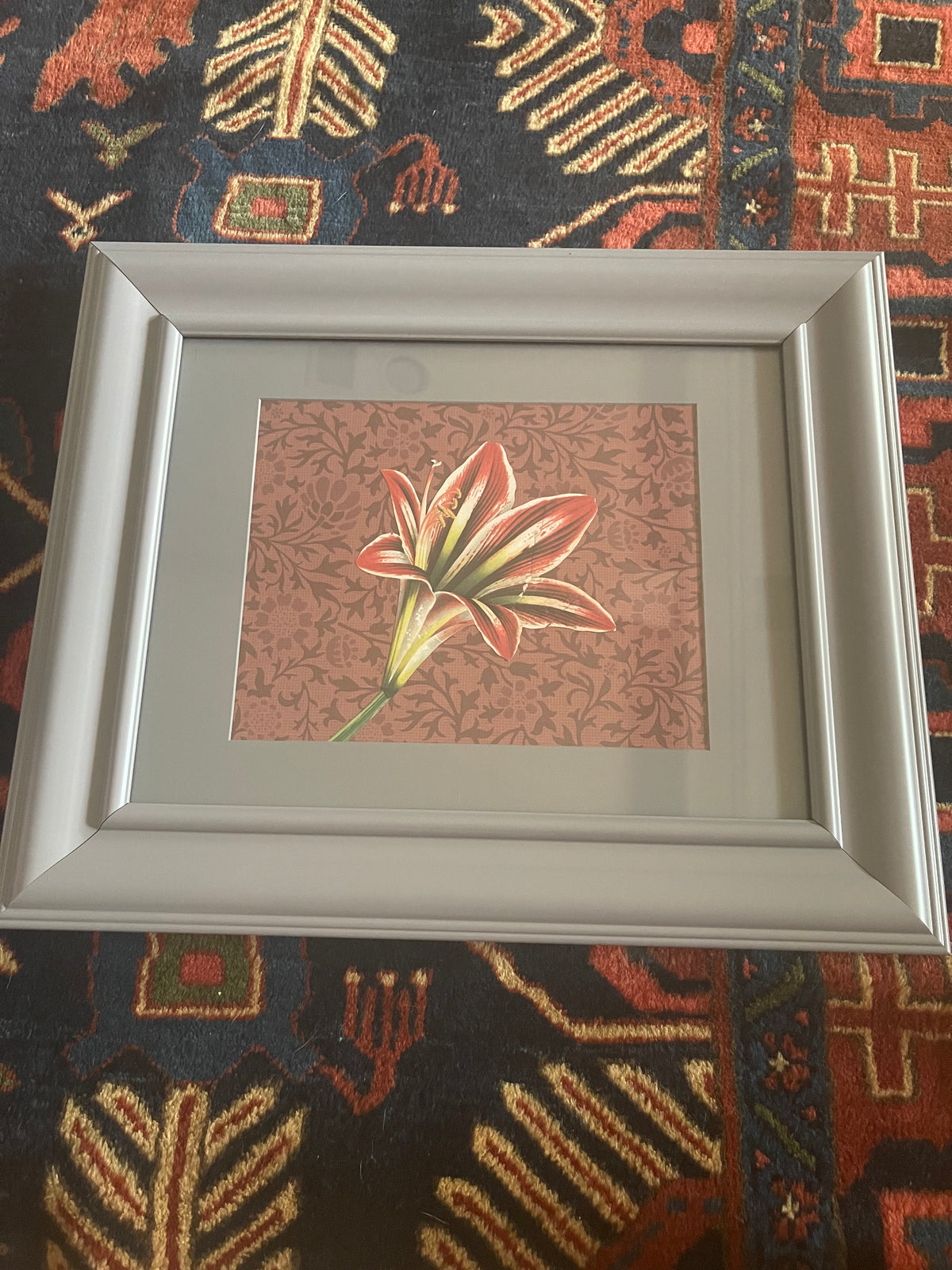 John Derian Red Lily Print in Grey Frame 11x14