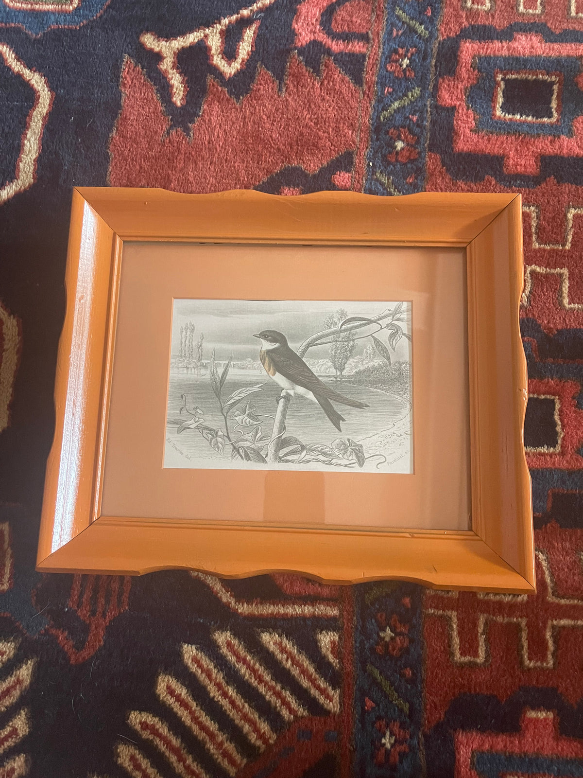 John Derian bird Print in Orange Frame 8x10