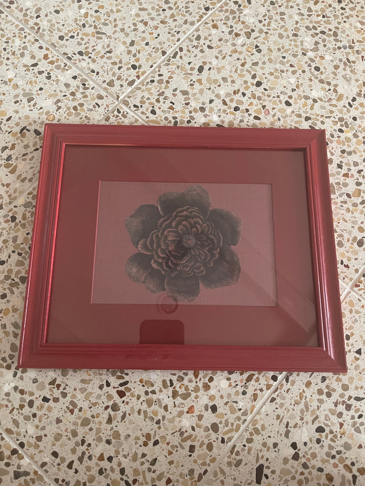 John Derian Wine Rose in Red Frame 8x10