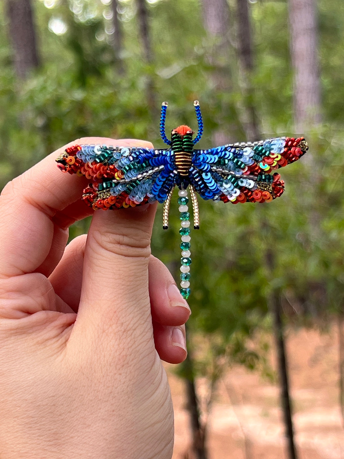 Dragonfly Brooch