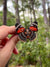 Orange and Black Butterfly Brooch