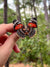 Orange and Black Butterfly Brooch