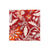 Block Print in Red Poinsettia Dinner Napkin